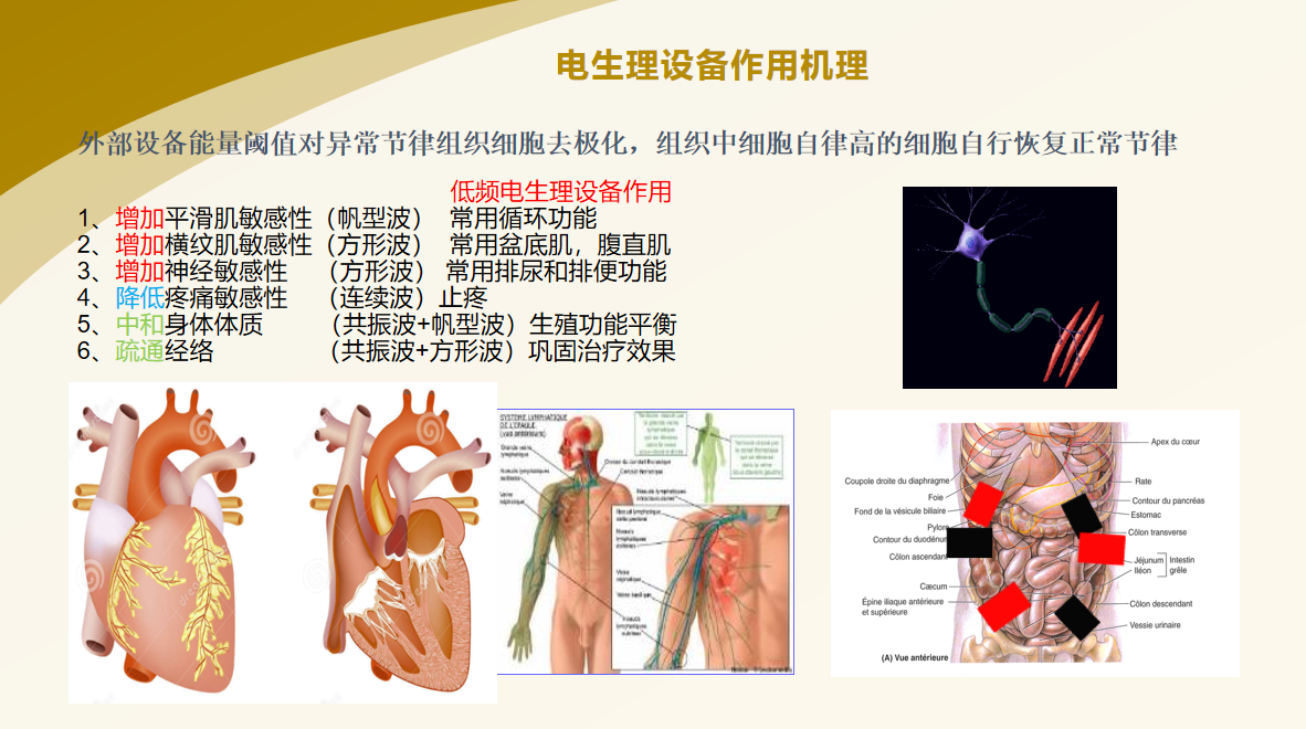 微信图片_20240924091730